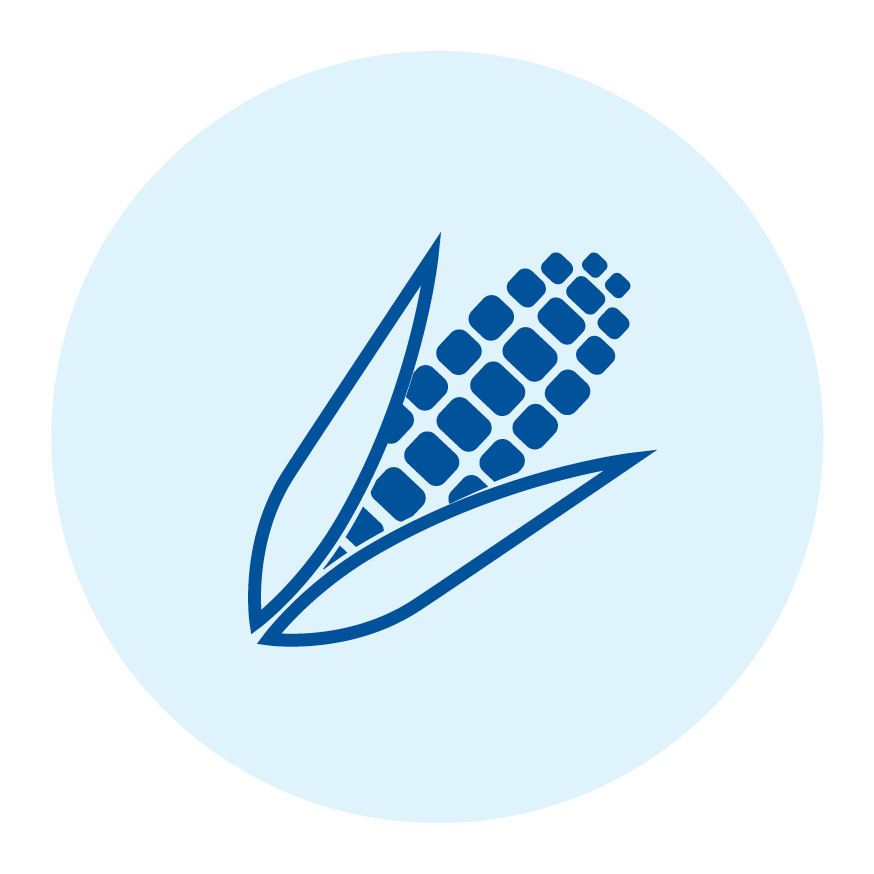 Kukorica
